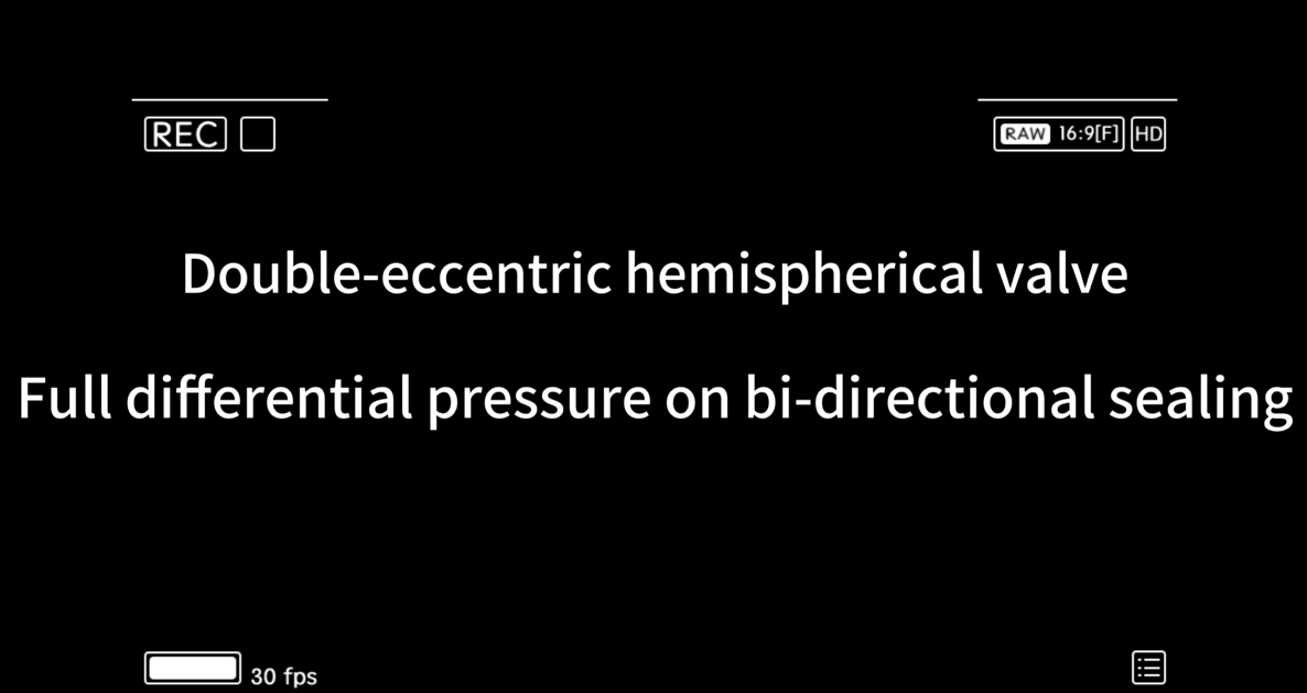 Double-eccentricispherical valve